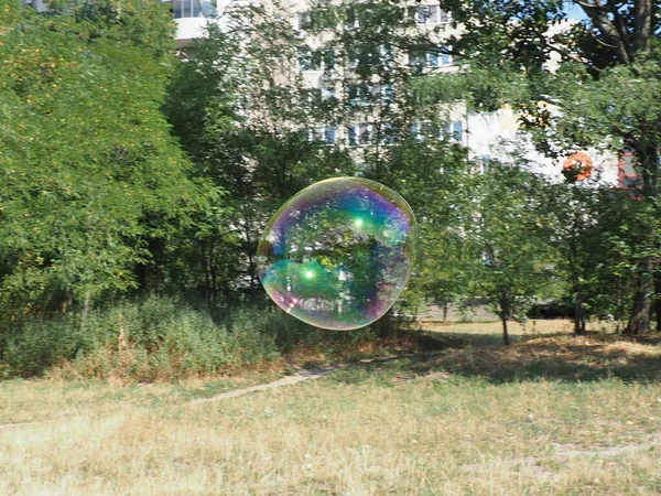 big soap bubble on a green tree background