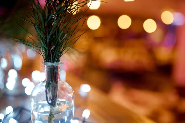 Ramo di abete rosso in vaso trasparente jar.garland. Bokeh. — Foto Stock