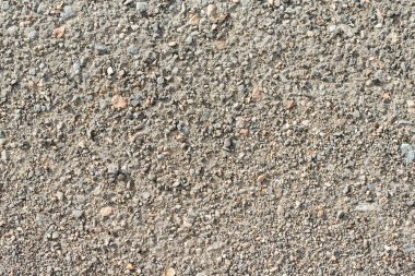 Bir kayaya yakın çekim