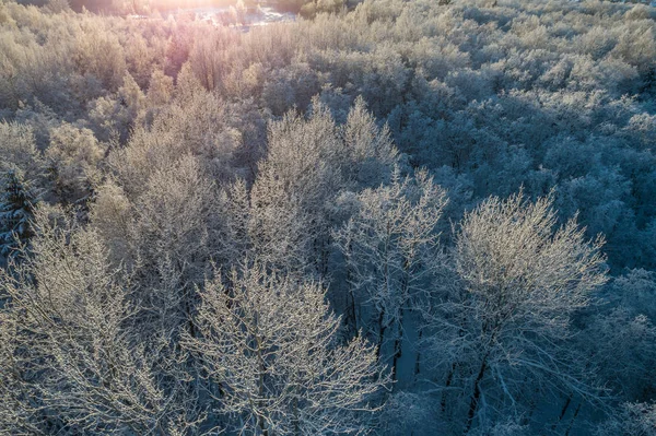 Luchtfoto Van Sneeuw Bedekt Bomen Winterseizoen — Stockfoto