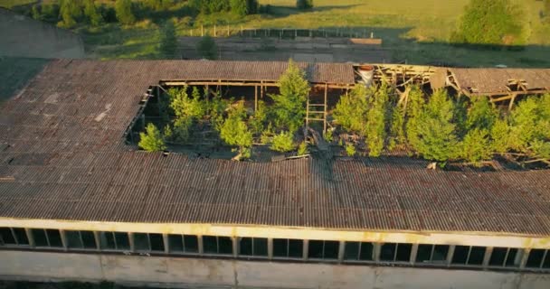 Edificio Granero Arruinado Techo Roto Imágenes Aéreas Puesta Sol Campo — Vídeo de stock