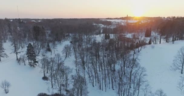 Bäume Mit Schnee Und Frost Bedeckt — Stockvideo