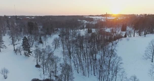 Träd Täckt Med Snö Och Frost — Stockvideo