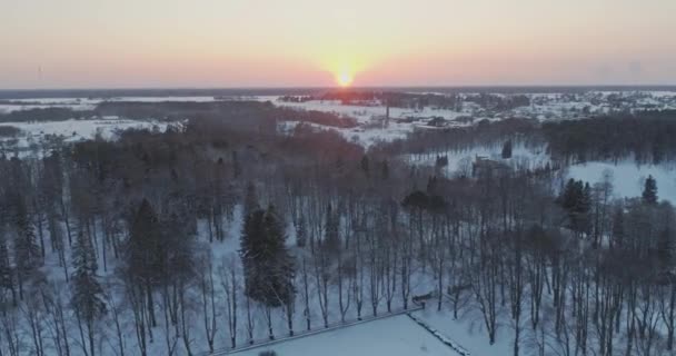 Árvores Cobertas Neve Geada — Vídeo de Stock