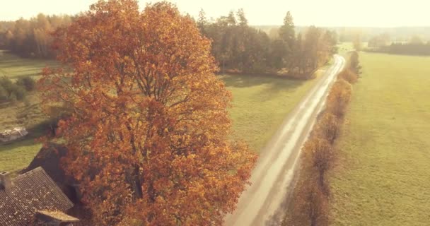 Images Aériennes Feuillage Dans Une Petite Ville Estonienne Coucher Soleil — Video