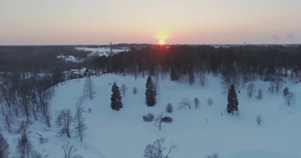 Drzewa Pokryte Śniegiem Mrozem — Wideo stockowe
