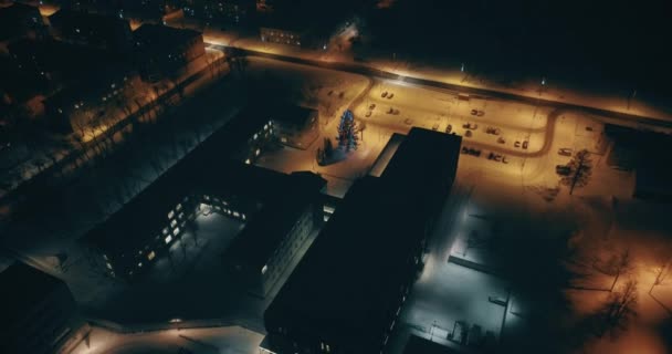 一个惊人的鸟图在夜间 爱沙尼亚 Kohtla Jarve 城市景观 晚上有汽车的街道 夜生活 — 图库视频影像