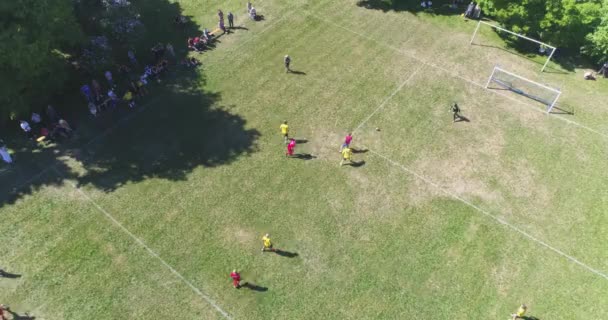 Dos Equipos Jugando Fútbol Aire Libre Vista Superior — Vídeos de Stock