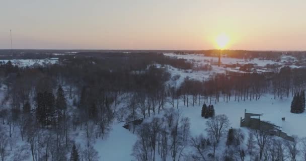 Drzewa Pokryte Śniegiem Mrozem — Wideo stockowe