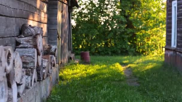 Fotocamera Che Vola Attraverso Gli Alberi Fino Vecchio Pozzo Steadicam — Video Stock