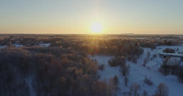 Bäume Mit Schnee Und Frost Bedeckt — Stockvideo