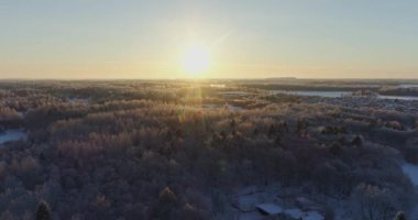 Kar ve buz kaplı ağaçlar.