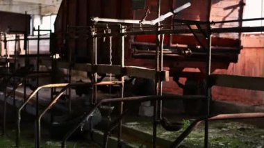 Bina, ürpertici terk edilmiş çiftlik kapalı görüntüleri. Steadicam görüntüleri. Korkunç yer.