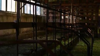 Bina, ürpertici terk edilmiş çiftlik kapalı görüntüleri. Steadicam görüntüleri. Korkunç yer.