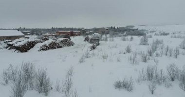 Kar ve buz kaplı ağaçlar.