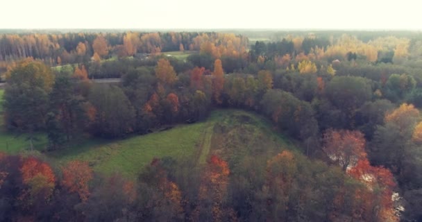 Luftaufnahmen Von Laub Einer Estnischen Kleinstadt Bei Sonnenuntergang — Stockvideo