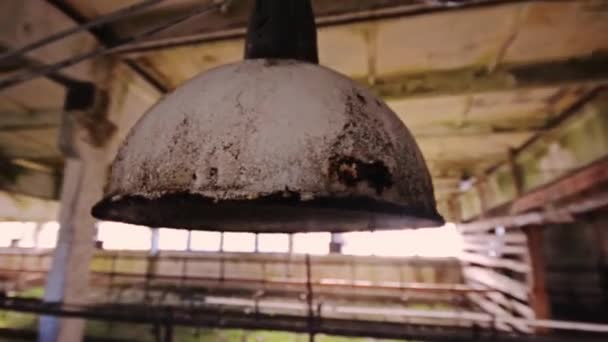 Griezelig Verlaten Boerderij Gebouw Overdekt Beeldmateriaal Steadicam Beeldmateriaal Enge Plaats — Stockvideo