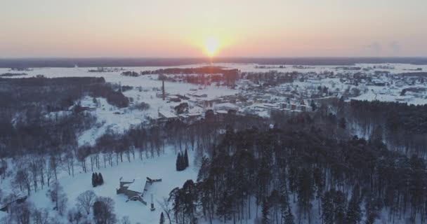 Drzewa Pokryte Śniegiem Mrozem — Wideo stockowe