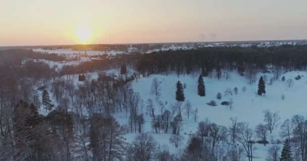 Деревья Покрытые Снегом Морозом — стоковое видео