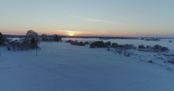 Alberi Coperti Neve Gelo — Video Stock