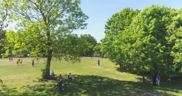 Deux Équipes Jouant Ballon Plein Air Vue Dessus — Video