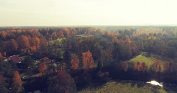 Imágenes Aéreas Follaje Una Pequeña Ciudad Estonia Atardecer — Vídeos de Stock