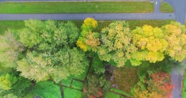 Gün Batımında Küçük Estonya Kasabasında Yeşillik Havadan Görüntüleri — Stok video