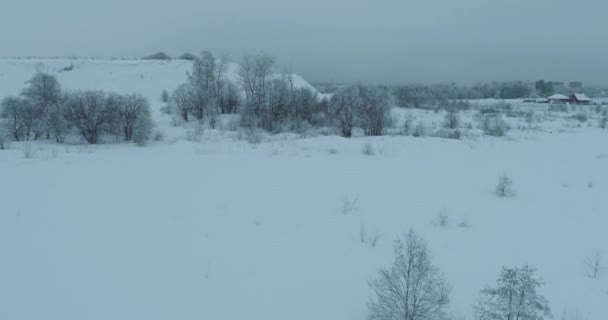 树木覆盖着雪和霜 — 图库视频影像