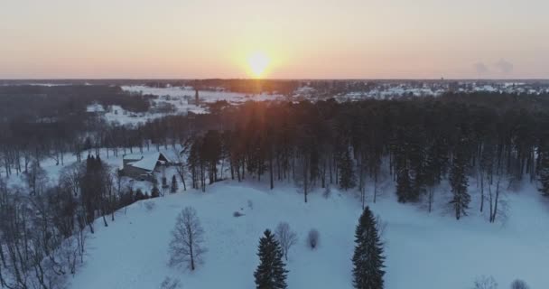 Arbres Couverts Neige Givre — Video