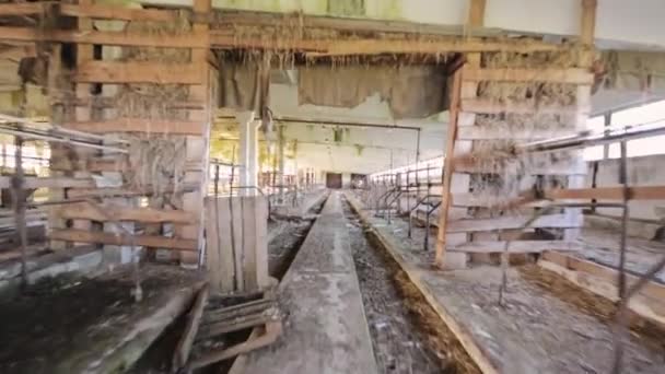 Espeluznante Granja Abandonada Edificio Casa Material Archivo Interior Imágenes Steadicam — Vídeo de stock