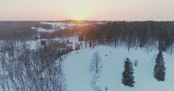 Arbres Couverts Neige Givre — Video