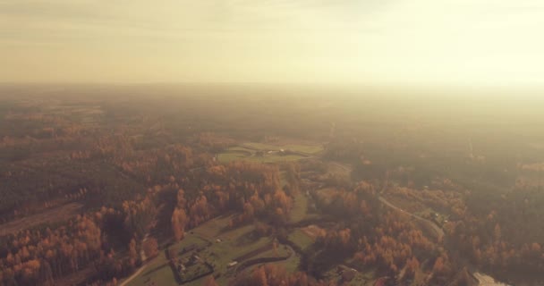 Ujęcia Liści Miasteczku Estoński Zachodzie Słońca — Wideo stockowe
