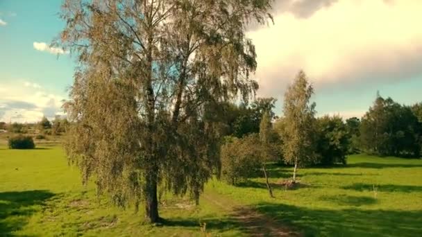 에스토니아의 마을에 잎들의 경치좋은 도시의 비행기 — 비디오
