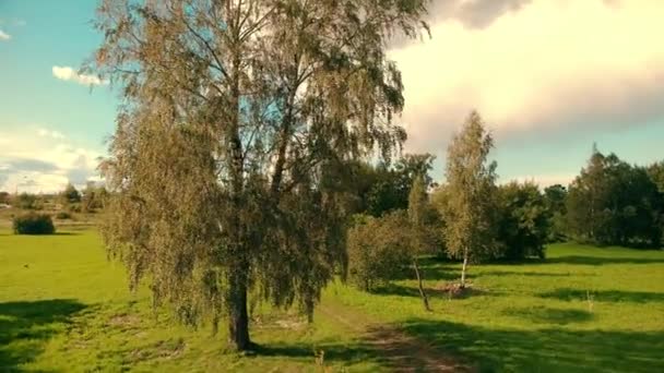 Flygbilder Lövverk Liten Estnisk Stad Höstens Flygning Över Den Natursköna — Stockvideo