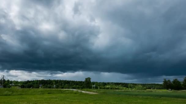 Green Field Summer Landscape Beautiful Clouds Nature Landscape — Stock Video