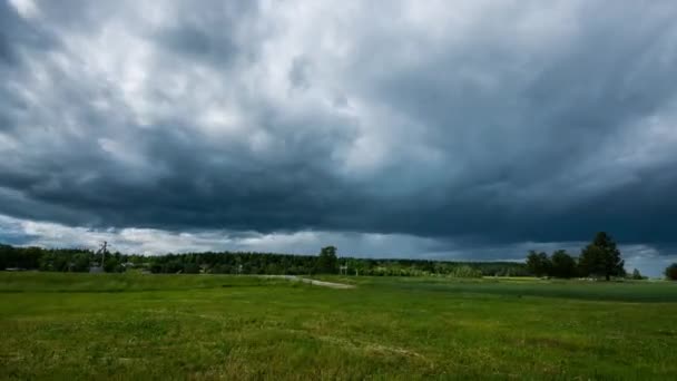 Zelené Pole Letní Krajina Nádherné Mraky Příroda — Stock video