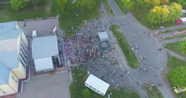 Insanlar Yeşil Park Taki Bir Müzik Festivalinde Parti Yapıp Dans — Stok video