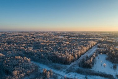 Hava güzel bir gün batımı görünümünde kış orman.