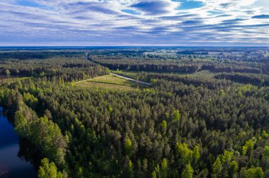Orman ve yeşil alanlar arasında nehrin havadan perspektifi. Yaz manzarası.
