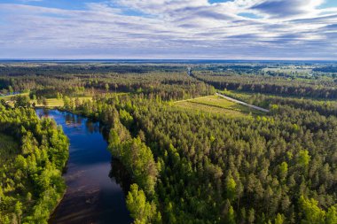 Orman ve yeşil alanlar arasında nehrin havadan perspektifi. Yaz manzarası.