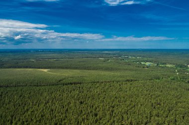 Yeşil ağaçların havadan görünümü. Yukarıdan yeşil ağaçlar.