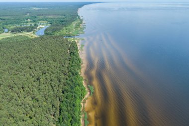 Mavi göl ve kumlu sahil havadan görünümü. Doğa Manzara.
