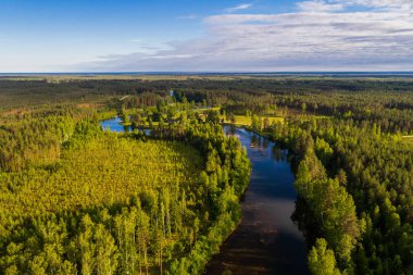 Orman ve yeşil alanlar arasında nehrin havadan perspektifi. Yaz manzarası.