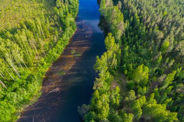 Orman ve yeşil alanlar arasında nehrin havadan perspektifi. Yaz manzarası.