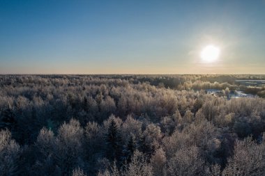 Hava güzel bir gün batımı görünümünde kış orman.