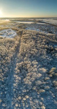 Hava güzel bir gün batımı görünümünde kış orman.