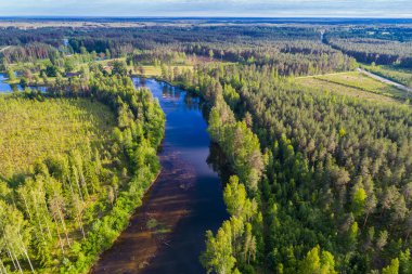 Orman ve yeşil alanlar arasında nehrin havadan perspektifi. Yaz manzarası.