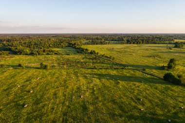 Havadan manzara, gün batımında yeşil alanlar. Yaz manzarası.