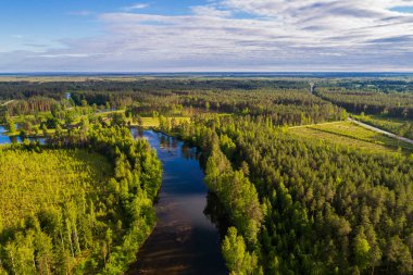 Orman ve yeşil alanlar arasında nehrin havadan perspektifi. Yaz manzarası.