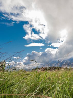 Yeşil alan. Yaz manzarası. Güzel bulutlar. Doğa manzarası.